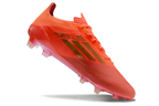 Adidas F50 Elite FG Two Horizons